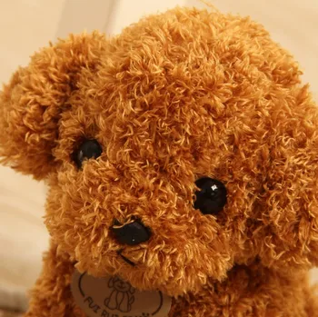 1 Vnt Kawaii modeliavimas Teddy šuo lady pudelis pliušiniai žaislai gyvūnų suffed lėlės Kalėdų dovana