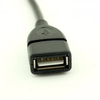 10vnt 10cm, USB 2.0, A Tipo Moteris Dupont 9 Pin Moterų Antraštės Duomenų Plokštė Adapterio Kabelis