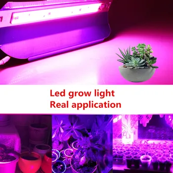 50W/100W Didelės Galios COB LED Grow Light Visą spektrą Vandeniui 220V Patalpų Šiltnamio efektą sukeliančių augti palapinė augalams augti, led šviesos
