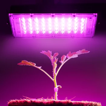 50W LED Grow Light Visą Spektrą AC 220V Augalų Prožektorius Šiltnamio efektą sukeliančių Augalų Hydroponic Augalų Prožektorius LED Augalų Augimo Lempos