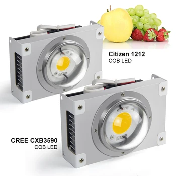 COB CREE CXB3590 CTZ1212 JT LED Grow Light 3000k 3500k 5000K viso Spektro LED Auginimo Lempos Kambarinių Augalų Augimo Apšvietimas