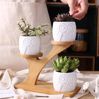 Paprastas Baltas Sultingi Augalų, Gėlių Vazonas Turėtojas Keramikos Pelėda Moliūgų Modelis Puodą Treetop Formos Bambuko Lentynos Puodą Sodinamoji Rinkinys