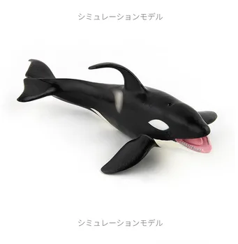 Vandenyno Jūros Gyvenimo Modeliavimas Gyvūnų Modelio BANGINIS Žudikas Banginių Veiksmų Žaislai Duomenys Vaikams Švietimo Kolekcijos Modelis Gimtadienio dovana