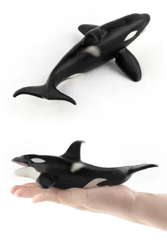 Vandenyno Jūros Gyvenimo Modeliavimas Gyvūnų Modelio BANGINIS Žudikas Banginių Veiksmų Žaislai Duomenys Vaikams Švietimo Kolekcijos Modelis Gimtadienio dovana