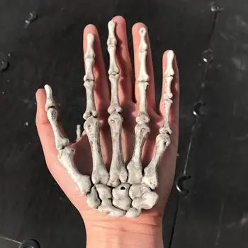 Žmogaus Anatomijos kaulų Skeleto Modelis Medicinos Mokytis Medicinos Pagalbos Anatomija meno eskizas 1 Pora Kaukolės Skeletas Rankos Kaulų Helovinas