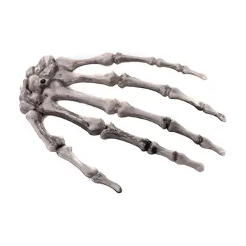Žmogaus Anatomijos kaulų Skeleto Modelis Medicinos Mokytis Medicinos Pagalbos Anatomija meno eskizas 1 Pora Kaukolės Skeletas Rankos Kaulų Helovinas